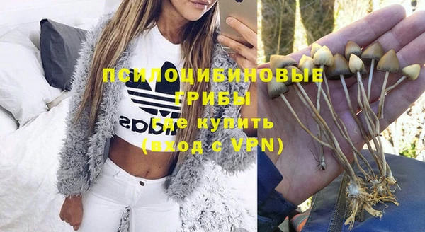ALPHA PVP Заволжск